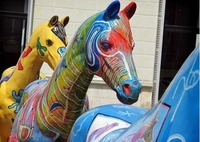 Equitation et intuition....